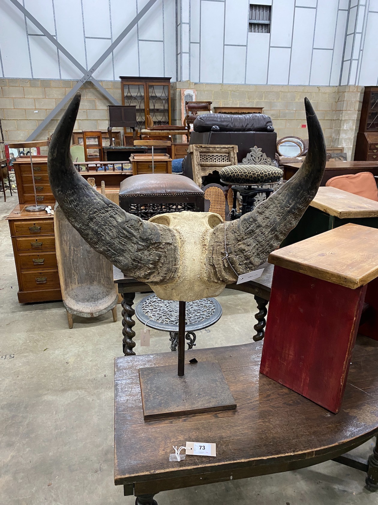 A pair of mounted buffalo horns on iron stand, height 78cm